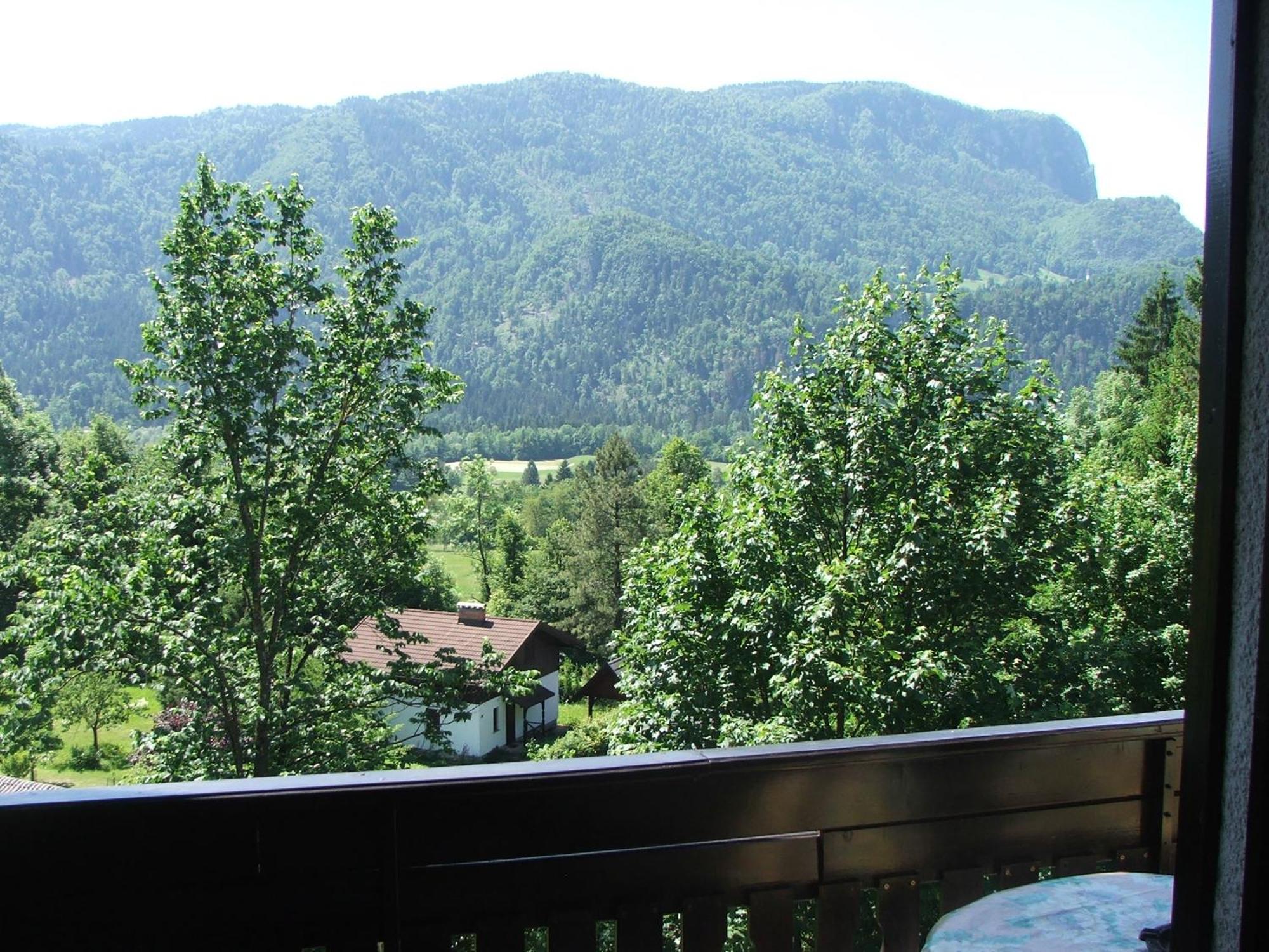 Tourist House Capricorn Apartment Bled Cameră foto